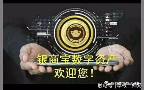 热烈祝贺银商宝Ysb数字商品第二期全国精英培训工作会议胜利召开